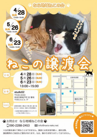 猫の譲渡会