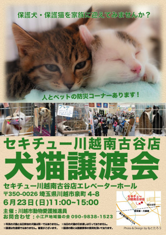 セキチュー川越南古谷店犬猫譲渡会 猫の譲渡会掲示板 ネコジルシ
