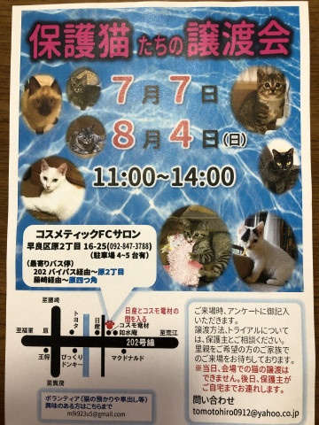 保護猫さん達の譲渡会 - 猫の譲渡会掲示板 - ネコジルシ