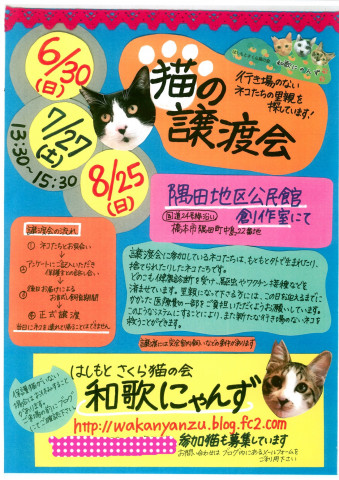 猫の譲渡会in橋本市 はしもとさくら猫の会 