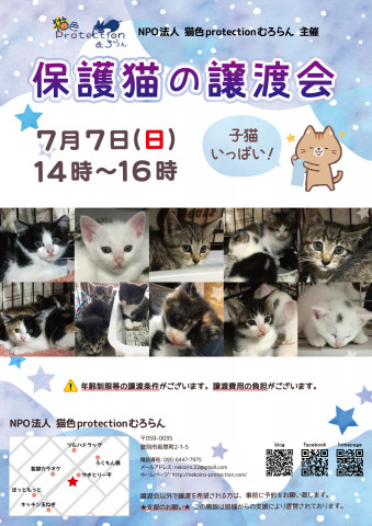 保護猫の譲渡会