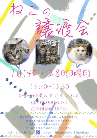 ねこの譲渡会