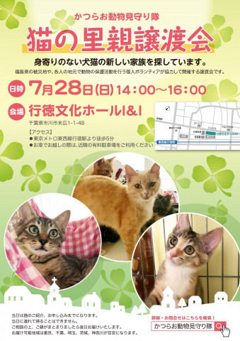 猫の里親譲渡会