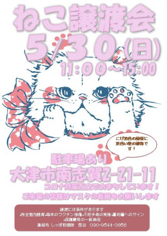 大津南志賀ねこ譲渡会