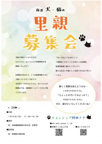 保護犬・保護猫の里親募集会 in 泉南郡熊取町