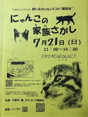 千葉市　にゃんこの家族さがし