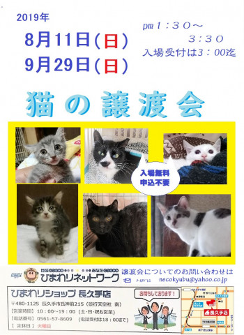 長久手ねこ救部　譲渡会