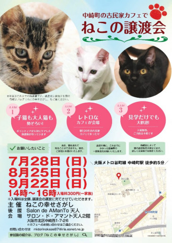 ねこの幸せさがし譲渡会