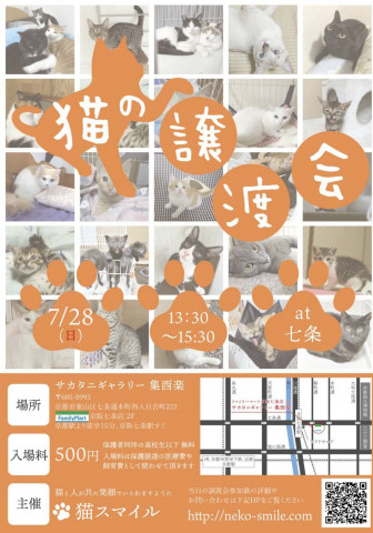 猫の譲渡会＠京都サカタニギャラリー