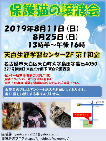 保護猫の譲渡会