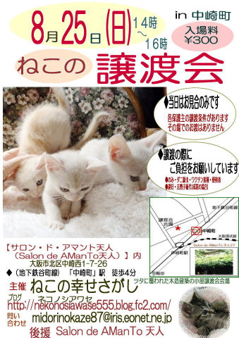 ねこの幸せさがし 譲渡会