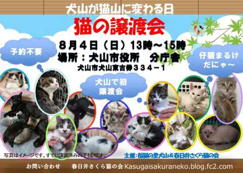 福猫の里犬山&春日井さくら猫の会　猫祭り継続！