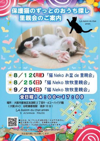 『保護猫のずっとのおうち探し里親会』