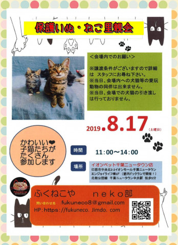 千葉県印西市開催/  ふくねこや。。