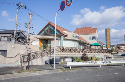 保護猫の里親募集会 in 泉南郡熊取町