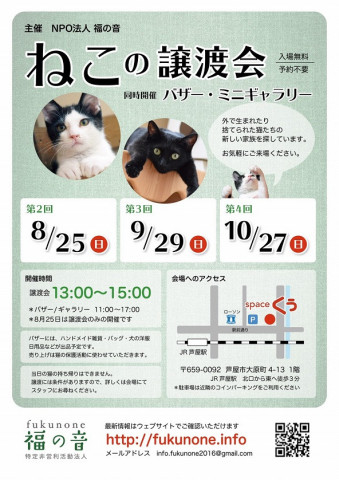 猫の譲渡会