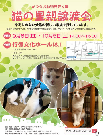 【開催します！】猫の里親譲渡会