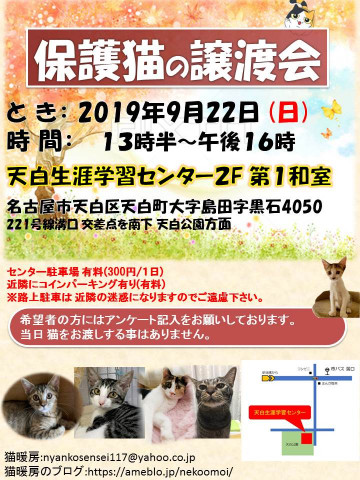 保護猫の譲渡会