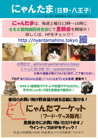 にゃんたま 日野 八王子 里親会 猫の譲渡会掲示板 ネコジルシ