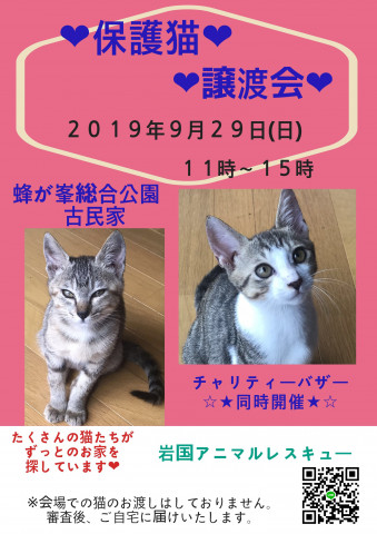 保護猫の譲渡会In山口県