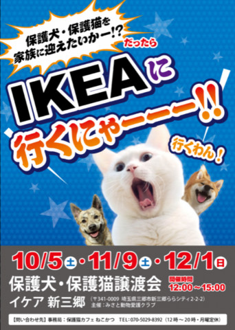 保護犬・保護猫譲渡会@IKEA新三郷
