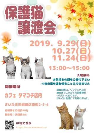 保護猫譲渡会　in　タマコチ