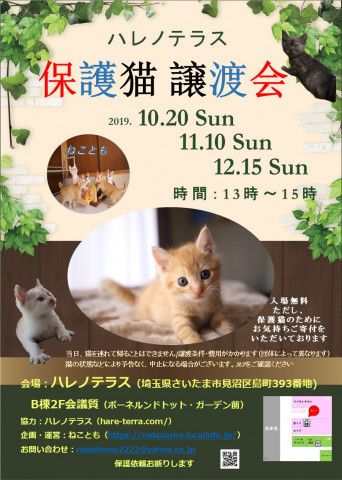 ハレノテラス　保護猫譲渡会