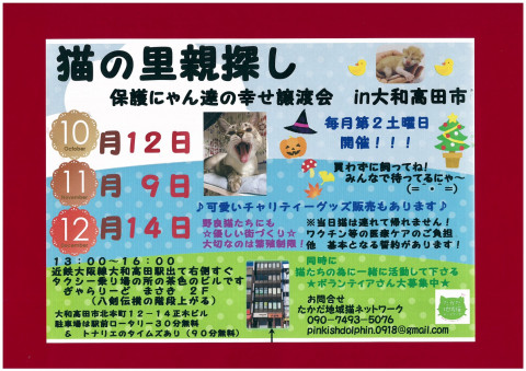 保護にゃん達の幸せ譲渡会in大和高田市