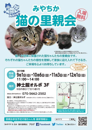 みやちか猫の里親会