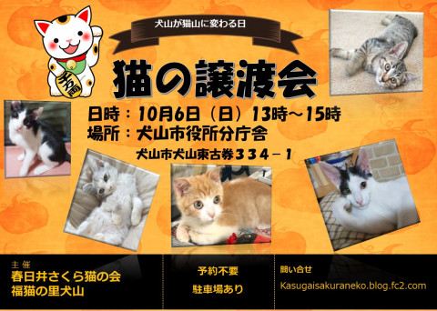 春日井さくら猫の会in犬山