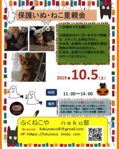 千葉県印西市開催/  ふくねこや。。