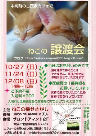 ねこの幸せさがし 譲渡会