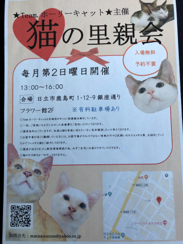 猫の里親会 in 日立 茨城
