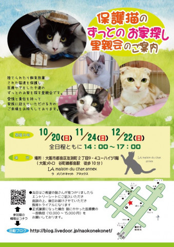 『保護猫のずっとのお家探し里親会』