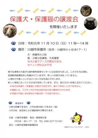 保護犬💖保護猫譲渡会 ＩＮ 川越市保健所