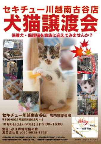 セキチュー川越南古谷店❤️犬猫譲渡会 終了