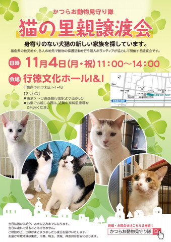 猫の里親譲渡会