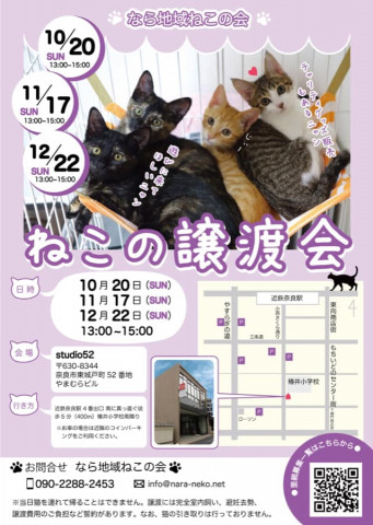 猫の譲渡会