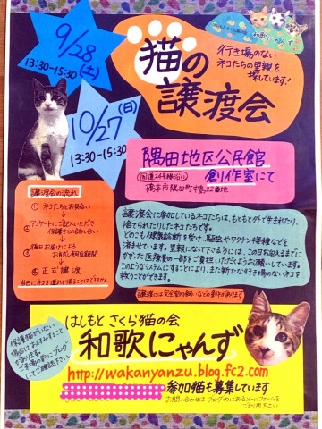 猫の譲渡会in橋本市♡はしもとさくら猫の会