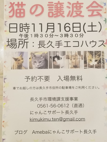 にゃんこサポート長久手 猫の譲渡会掲示板 ネコジルシ