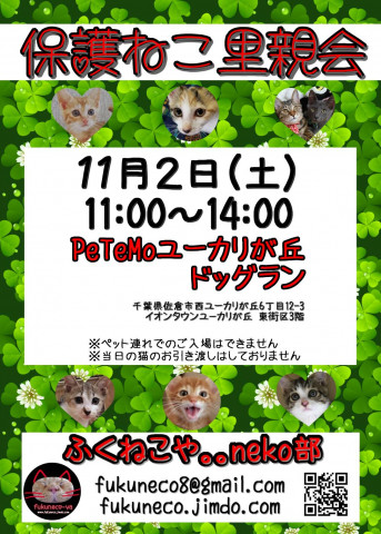 千葉県佐倉市開催/ふくねこや里親会