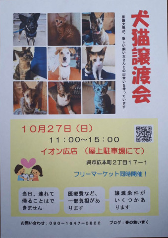 保護犬猫ウサギ譲渡会