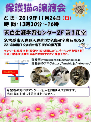 保護猫の譲渡会