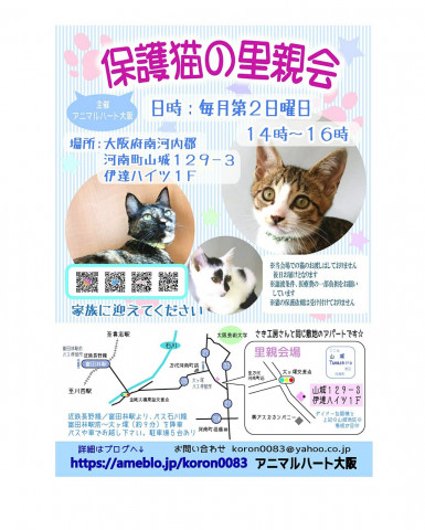 保護猫の里親会