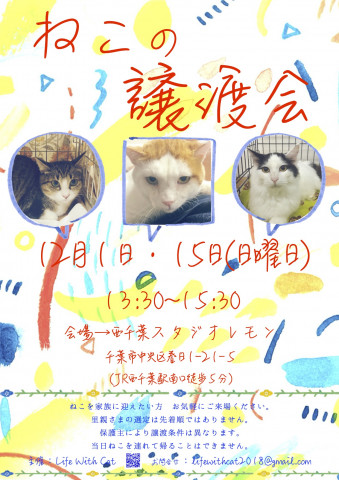 第25回ねこの譲渡会＠千葉県千葉市