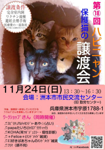 ハピニャン保護猫の譲渡会