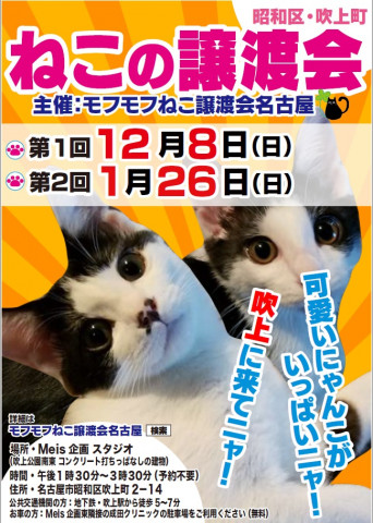 猫の譲渡会　in　名古屋市昭和区吹上町　吹上公園南東