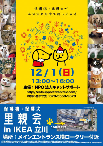 IKEA立川店犬猫里親会