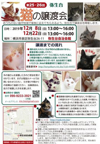 弥生台　猫の譲渡会