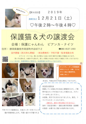 保護猫＆犬の譲渡会（手作り商品販売）